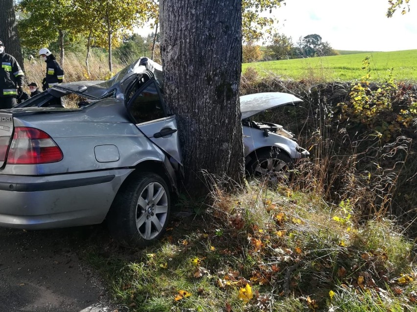 BMW uderzyło w drzewo między Sapolnem a Przechlewem