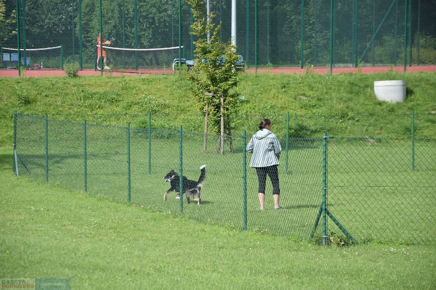Wybieg dla psów w parku na Słodowie we Włocławku już czynny.