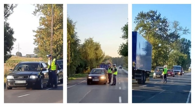 Policjanci sprawdzili 560 kierowców. Jeden nie był trzeźwy.