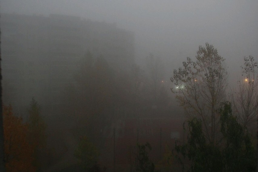 Poranek z mgłą, popołudnie ze słońcem - niedziela na Dolnym Śląsku (ZDJĘCIA)
