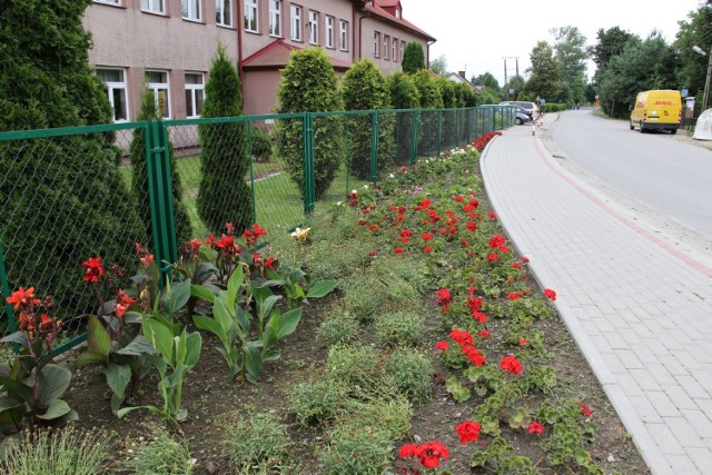 Dzielnica Nr 7 - klomb przy Szkole Podstawowej nr 9