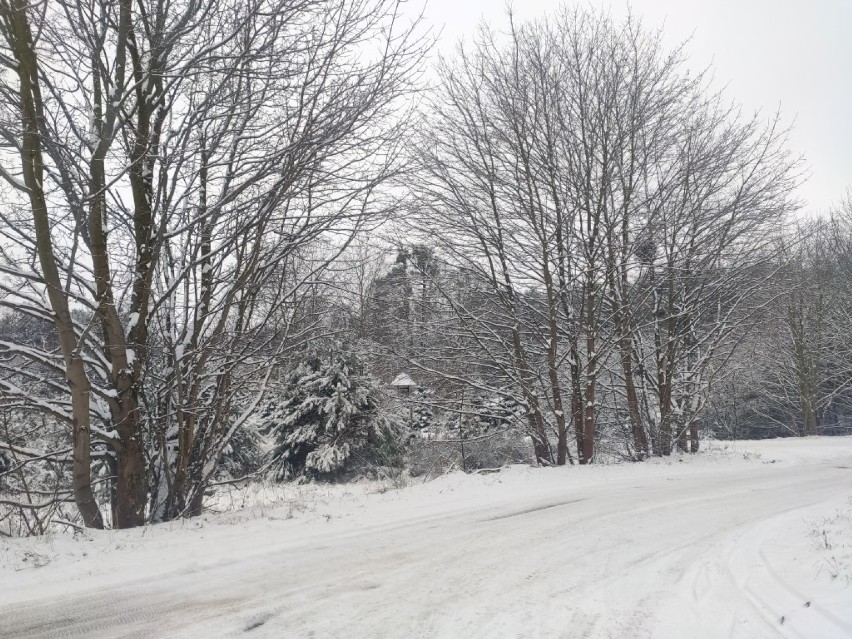 Styczeń 2021. Zimowy krajobraz w gminie Szemud| ZDJĘCIA
