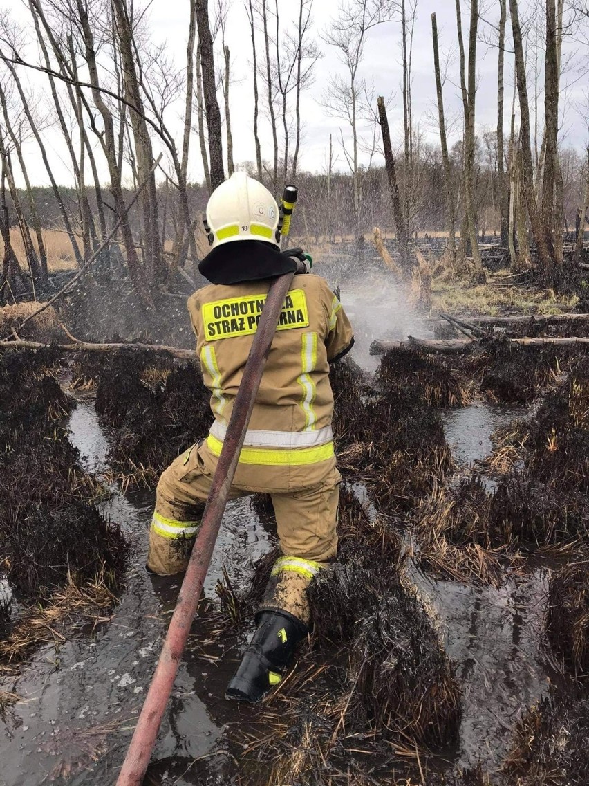 Strażacy walczyli z pożarami traw w Tomaszowie i regionie. Pracowity weekend strażaków [ZDJĘCIA]