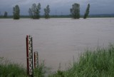 Stan wody na Odrze: W Chałupkach rzeka niebezpiecznie przybiera