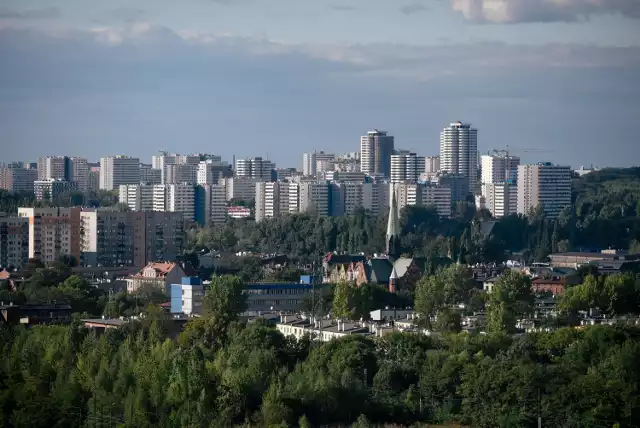 Osiedle Tysiąclecia. Wycinka drzew pod budowę nowych bloków