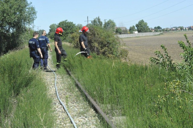 GMINA KOŚCIAN. Pożar traw w pobliżu Sierakowa. Nie wykluczone, że to podpalenie