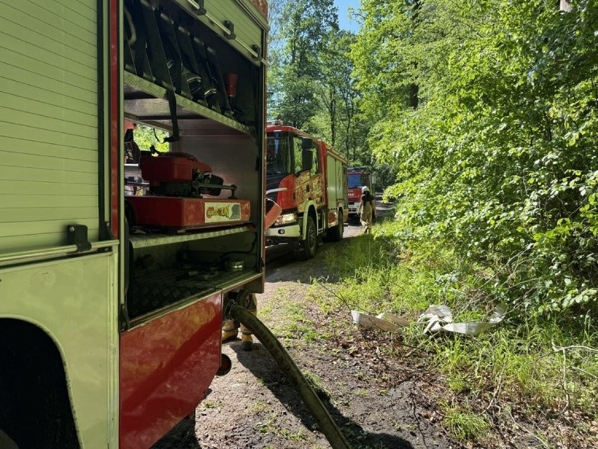 Ćwiczenia strażaków z powiatu sztumskiego w lesie