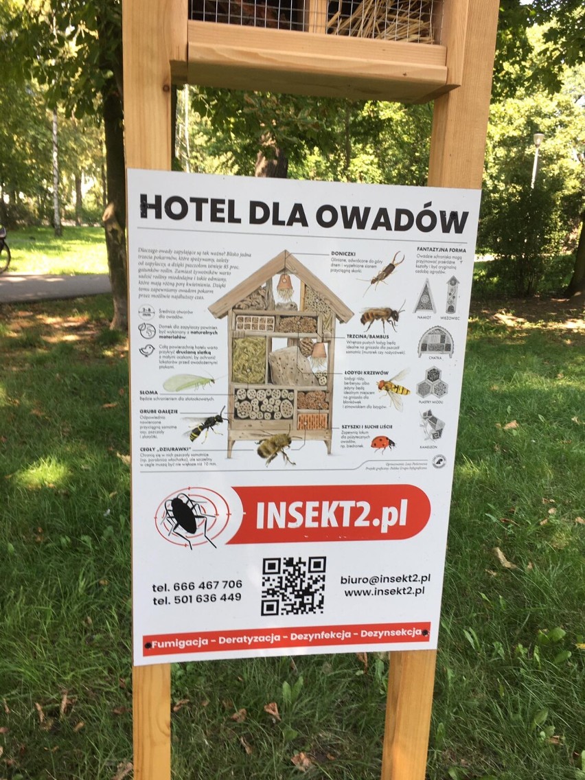 Hoteliki dla owadów w Pleszewie. Pszczoły i inne owady mogą...