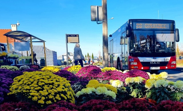 1 listopada, oprócz standardowo kursujących autobusów, do obsługi cmentarza uruchomione zostaną linie specjalne. Tego dnia łącznie 669 kursów będzie dojeżdżało i wyjeżdżało z przystanku przy ul. Cmentarnej