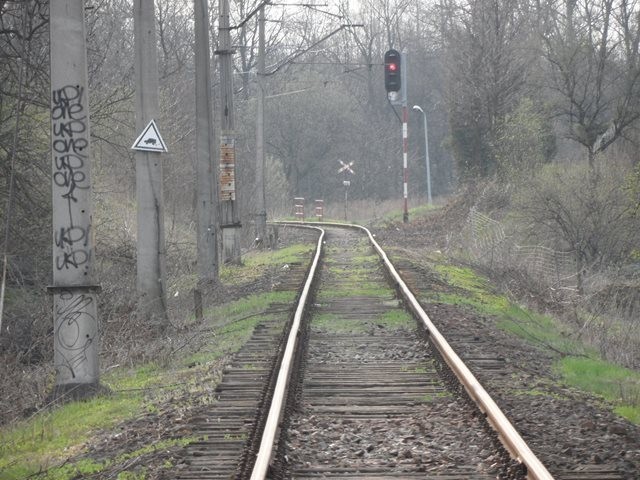 Dziś nikt nie wie, kiedy ruch kolejowy powróci na tory popularnej niegdyś linii z Cieszyna do Goleszowa.