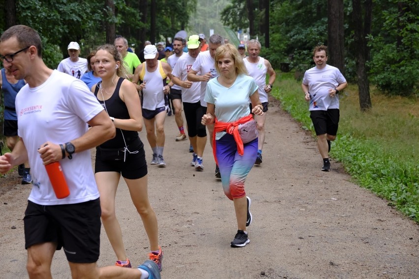 Parkrun Toruń - zobacz zdjęcia z sobotniego biegu w lasku na Skarpie