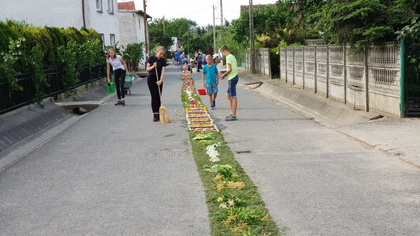 Mieszkańcy Klucza, Olszowej, Zimnej Wódki, Zalesia Śląskiego ułożyli kwiatowe dywany z okazji Bożego Ciała