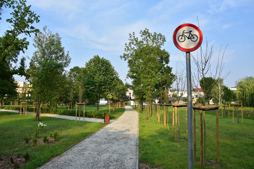 Tak obecnie wygląda park między ul. Kościuszki i...