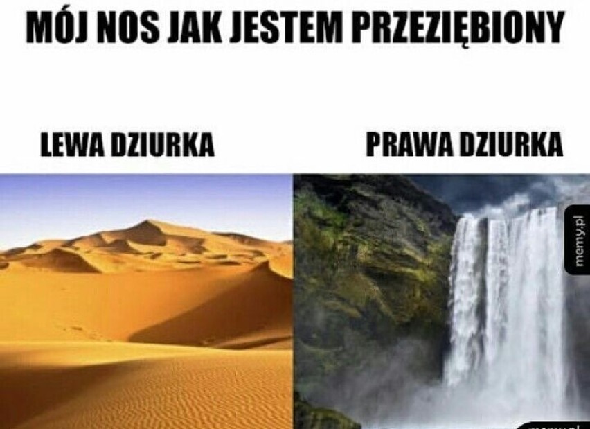  Zdążyłeś się już przeziębić? Nie jesteś sam! Jesień czyli sezon na przeziębienie i grypę w pełni. Jak komentuje to Internet? Zobacz MEMY 