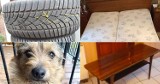 Co wadowiczanie oddają teraz za darmo? Sporo tego - meble, zwierzęta, a może gałęzie? Sprawdź ostatnie okazje na OLX. ZDJĘCIA