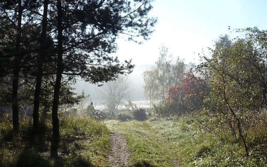 Tutaj jesienne barwy i mgła też jesienna... / Fot. Ryszard...