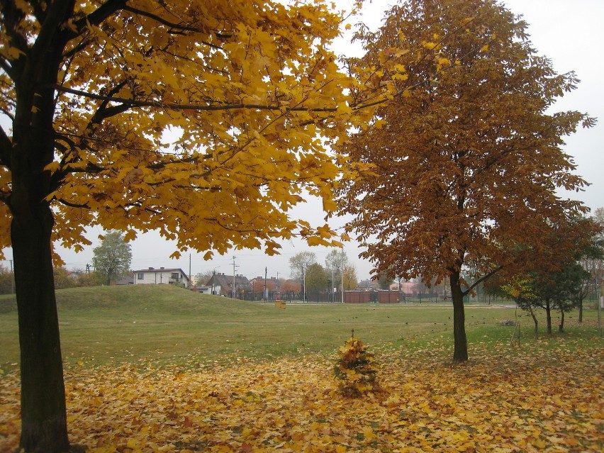 Jesień w osiedlu Karsznice