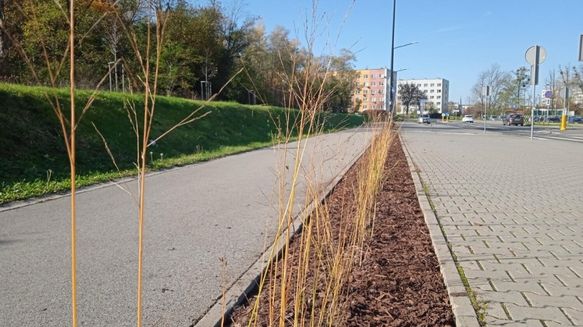 Zmiany w Gliwicach. Niebawem zobaczymy centrum  miasta w zupełnie nowej odsłonie!