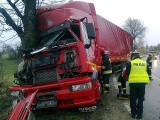 Wypadek w Zarzeczu. Ciężarówka uderzyła w drzewo [ZDJĘCIA]