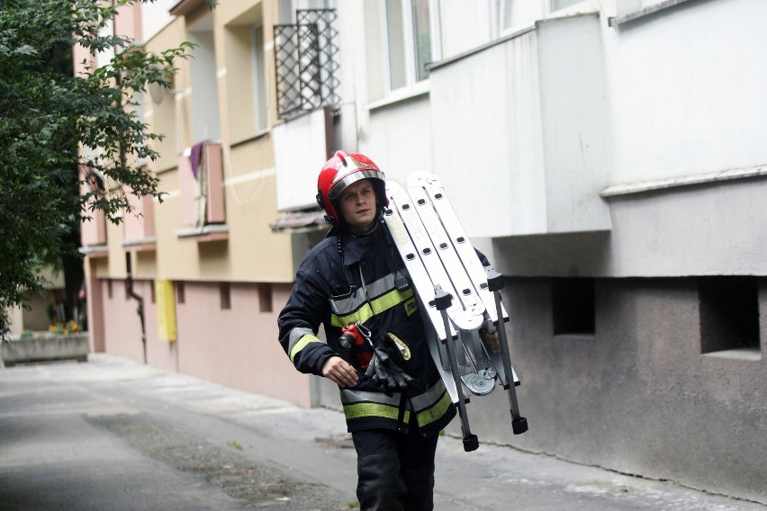 Legniccy strażacy uratowali gołębia [ZDJĘCIA]