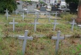 Dąbrowa cmentarz 11 Listopada zaniedbane groby: trawa zniknęła!