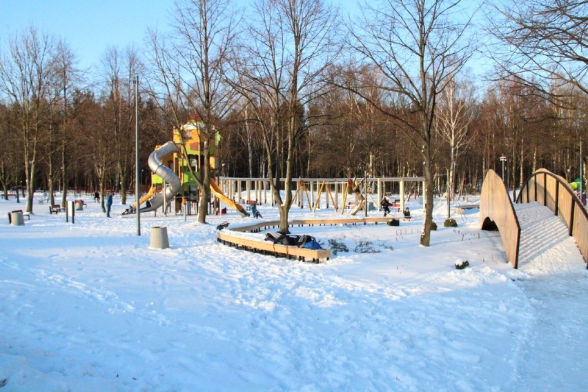 Zima w parku Kuronia w Kazimierzu