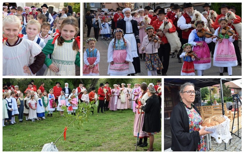 45. Biesiada Koźlarska - posadzenie "Drzewa Pamięci Leonarda" przy Kładce Koźlarzy - 28 września 2019