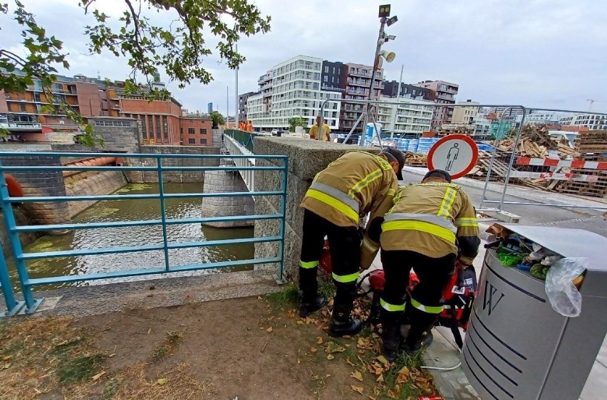 Akcja strażaków na Moście Pomorskim we Wrocławiu. Dostali zgłoszenie o dryfującym w rzece dziecku