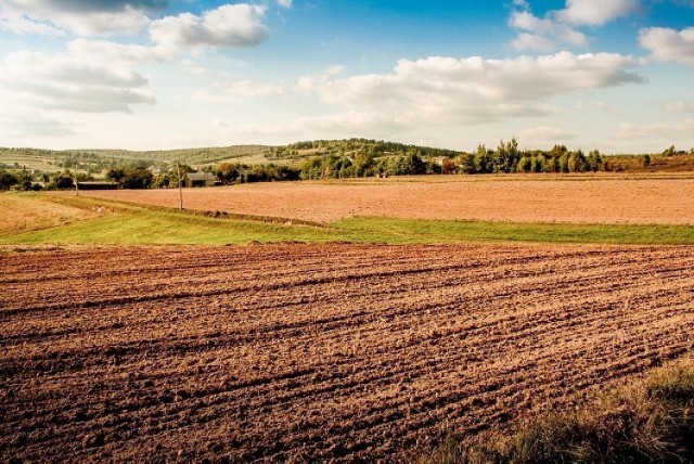 Oba nabory wniosków potrwają do 29 maja 2021 r. i są finansowane z budżetu PROW 2014-2020. Szczegóły w tekście