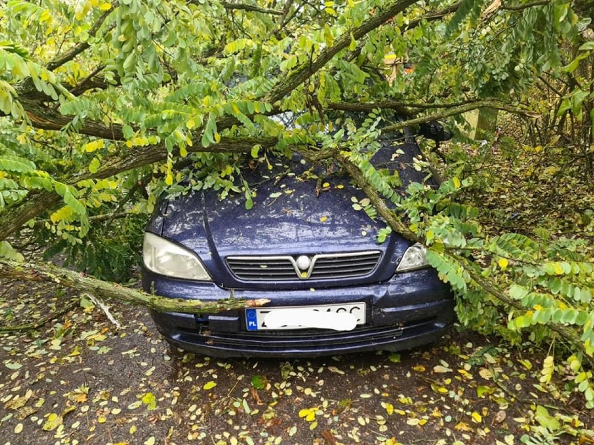 Silny wiatr wyrządził wczoraj w Goleniowie i okolicach sporo...