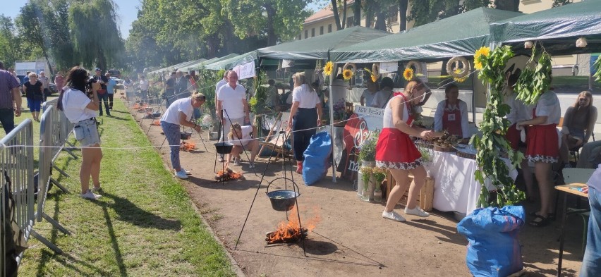 11. Święto Żuru Kujawskiego na boisku w Starym Brześciu, 18...