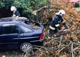 Liczne interwencje strażaków po silnym wietrze w powiecie pilskim 