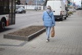 Mniej betonu w centrum Radomia. Powstał kolejny gazon. Gdzie się znajduje?