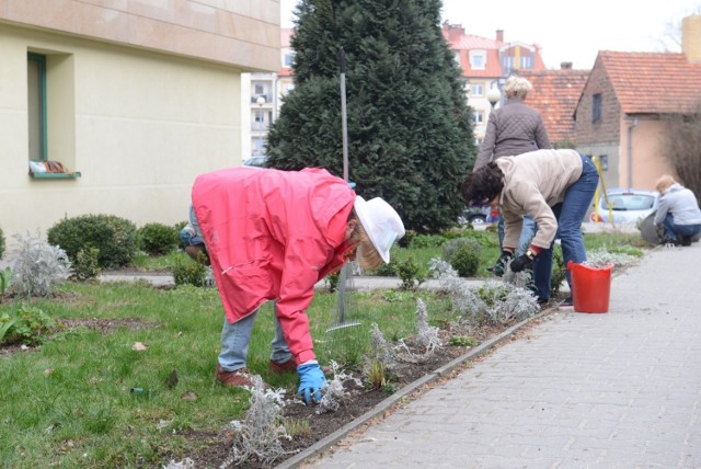 W sobotę, 23 marca, w Zielonej Górze o godz. 12.00 rozpocznie się wielkie sprzątanie ul. Obywatelskiej.