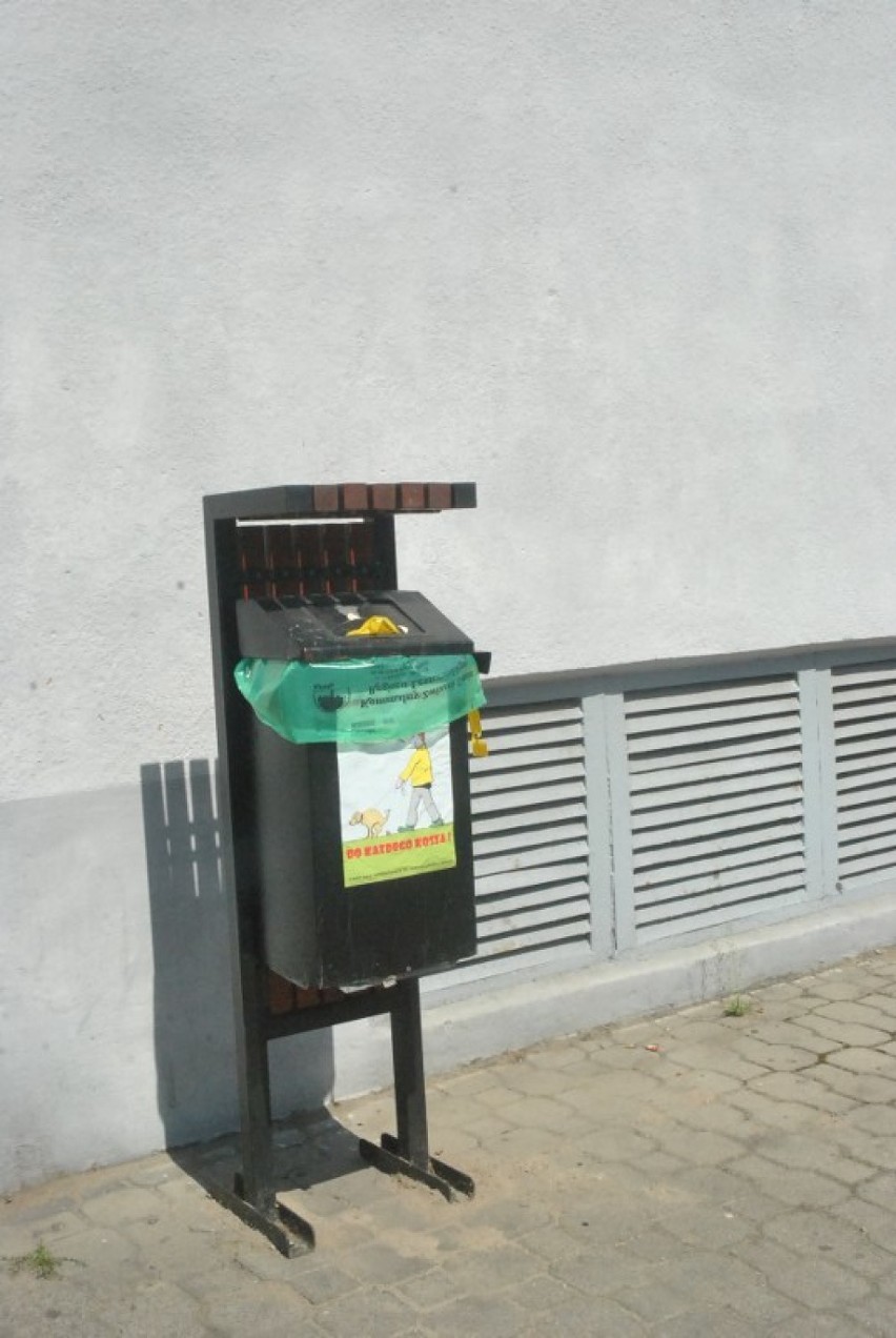 Kosze na śmieci w Lesznie - zarządzanie nimi to nie taka prosta i tania sprawa [FOTO]