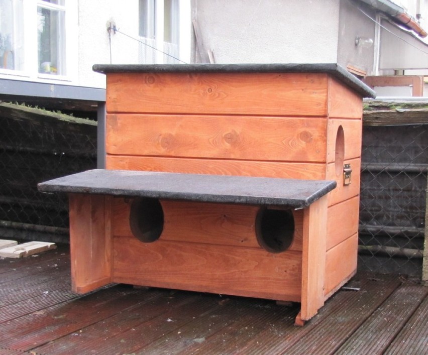Koty wolno żyjące mają nowe, drewniane domki ZDJĘCIA