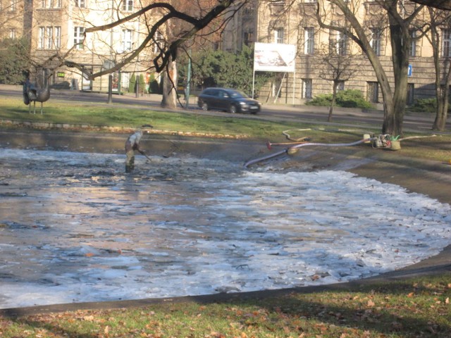 Park Marcinkowskiego: Wielkie sprzątanie