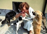 W Bytomiu otwarto hotel dla psów
