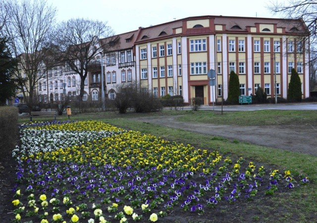 KOŚCIAN. Wiosna nieśmiało zagląda do naszego powiatu, widać ją na skwerach i w ogrodach