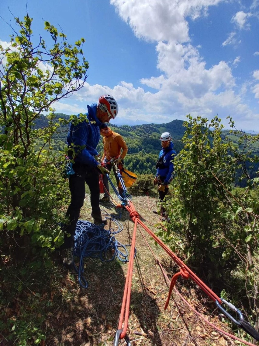 Pieniny. Zajęcia na pionowej ścianie skalnej. Tak szkolili się ratownicy z Grupy Podhalańskiej GOPR    