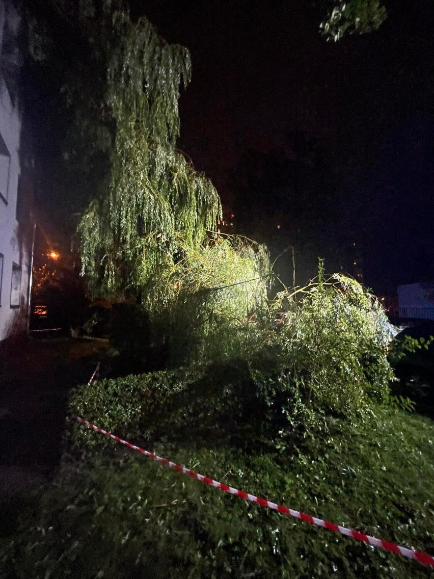 Oto skutki nocnej nawałnicy w Gliwicach! - ZDJĘCIA. Połamane drzewa, przygniecione samochody, zablokowane drogi....