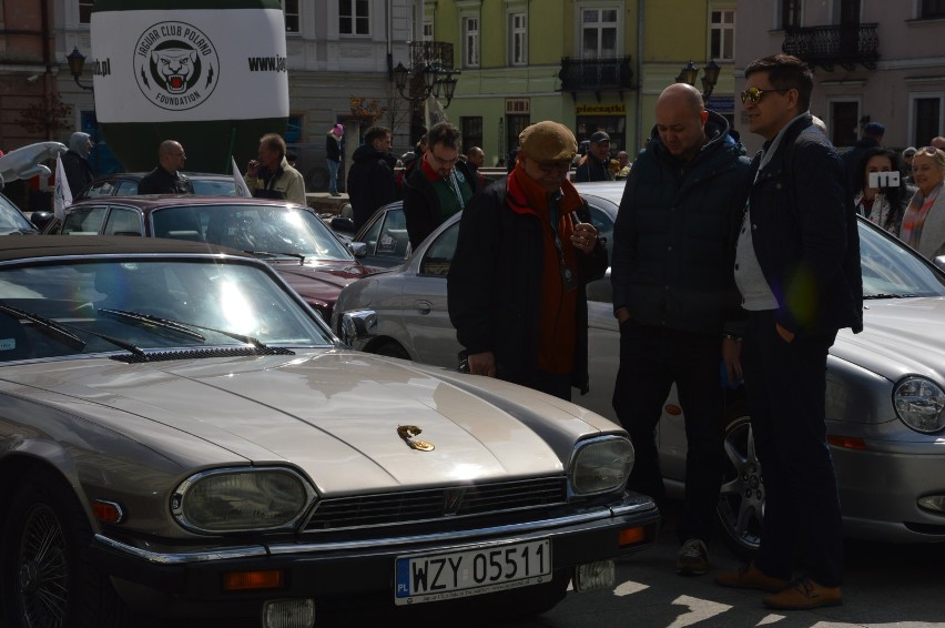 Zlot jaguarów w Piotrkowie