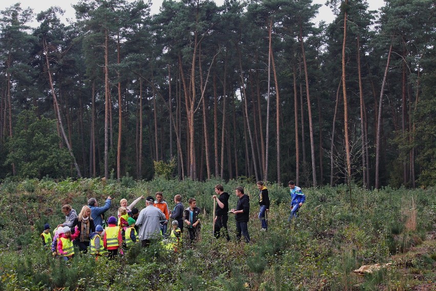 Przedszkolaki sadziły las w Chwaliszewie