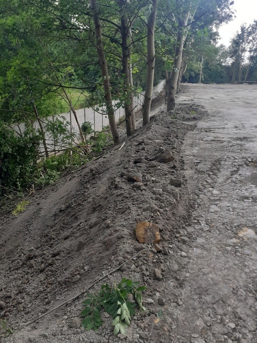 Zobacz kolejne zdjęcia/plansze. Przesuwaj zdjęcia w prawo -...