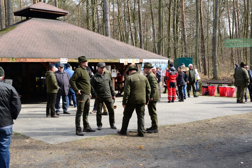 Krotoszyn. Wypuszczą 100 kuropatw w ramach akcji związanej z ochroną zwierzyny drobnej [FOTO]