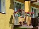 Najładniejsze, ukwiecone balkony na Piaskowej Górze w Wałbrzychu [ZDJĘCIA]