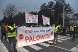 Mieszkańcy Palowic bronią swojej wsi i pojezierza przed koleją do CPK PETYCJA 