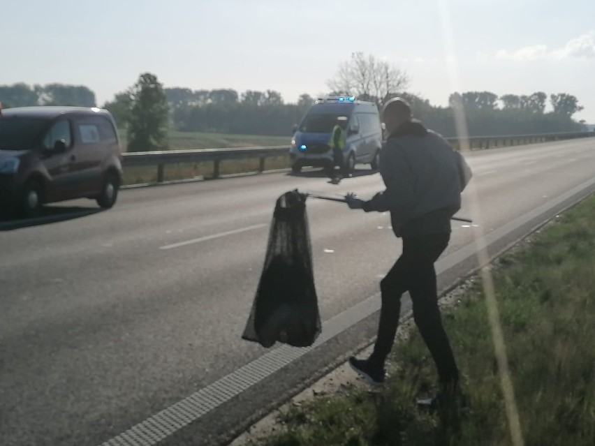 Leszno. Ratowali bociana na drodze S5. Miał połamane skrzydło po zderzeniu z autem [ZDJĘCIA]