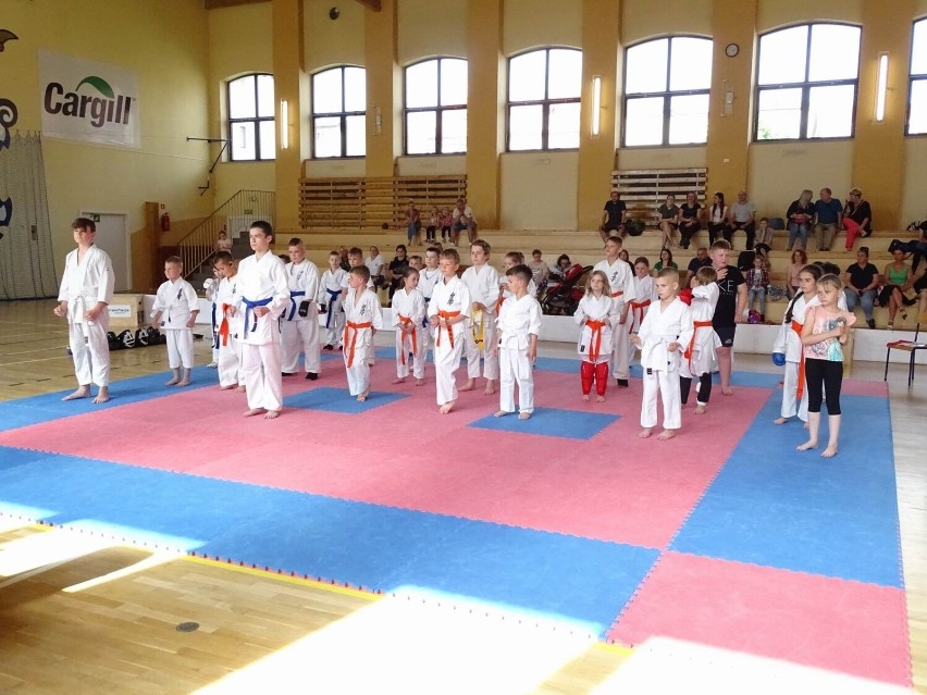 Chełmiński turniej karate kyokushin
