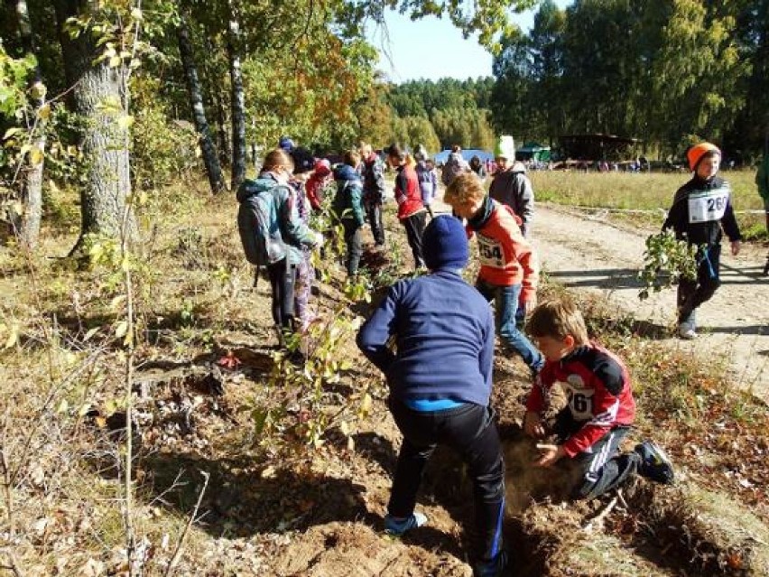 Uczniowie obchodzili "Święto Drzewa"